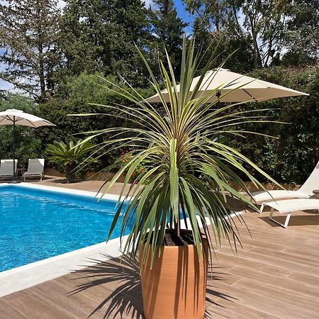 Arriba Stijlvol Appartement Met Zwembad En Tuin Conil De La Frontera Εξωτερικό φωτογραφία
