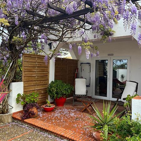 Arriba Stijlvol Appartement Met Zwembad En Tuin Conil De La Frontera Εξωτερικό φωτογραφία