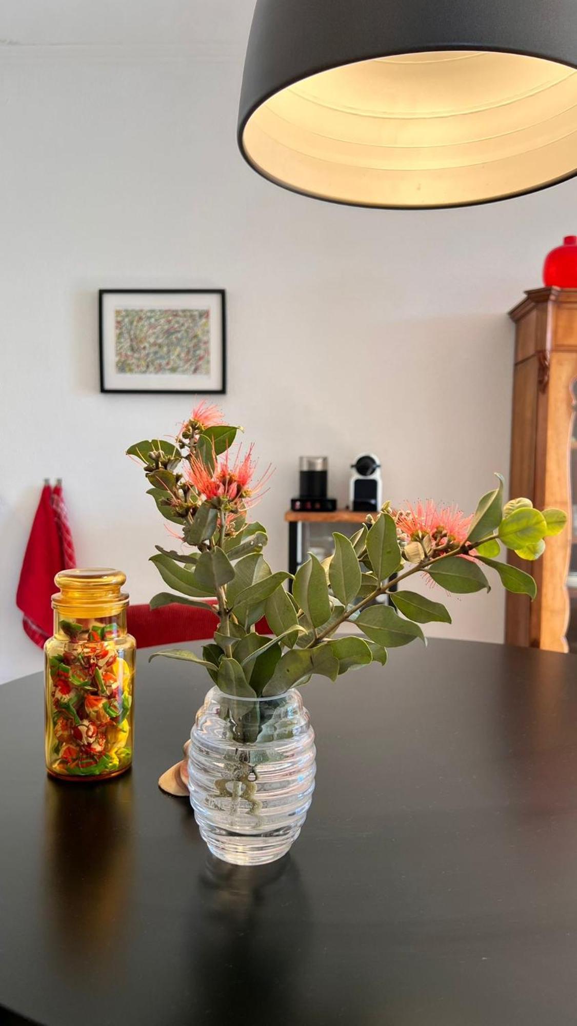 Arriba Stijlvol Appartement Met Zwembad En Tuin Conil De La Frontera Εξωτερικό φωτογραφία