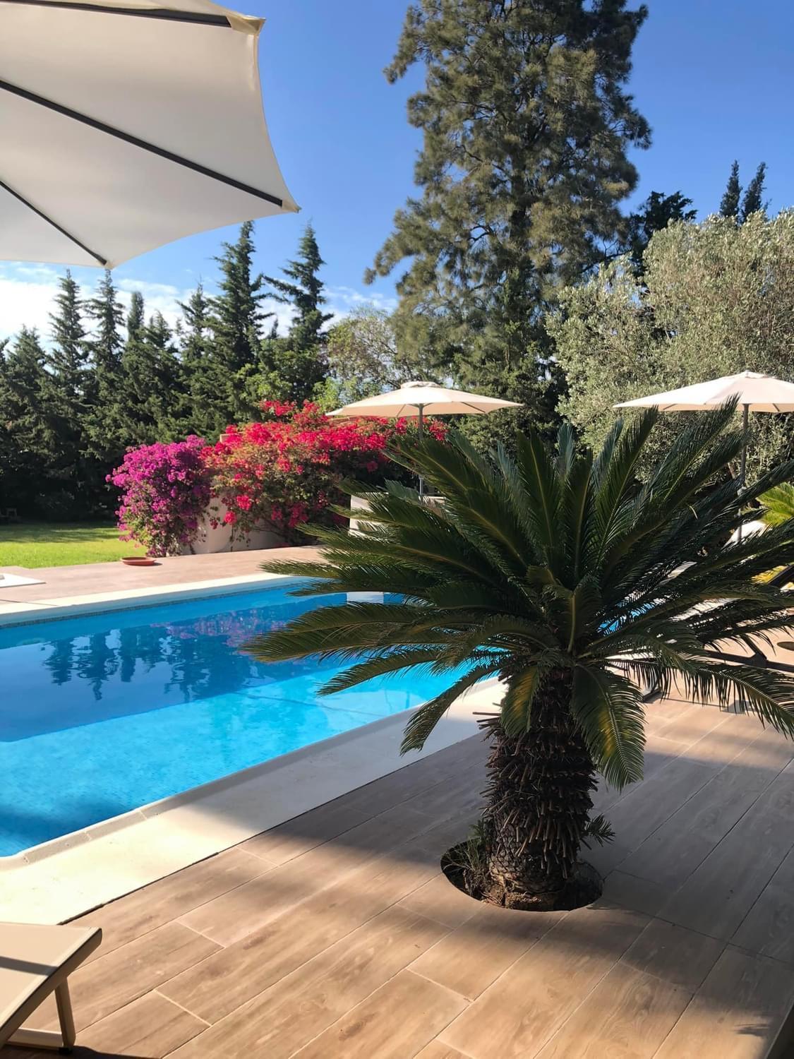 Arriba Stijlvol Appartement Met Zwembad En Tuin Conil De La Frontera Εξωτερικό φωτογραφία