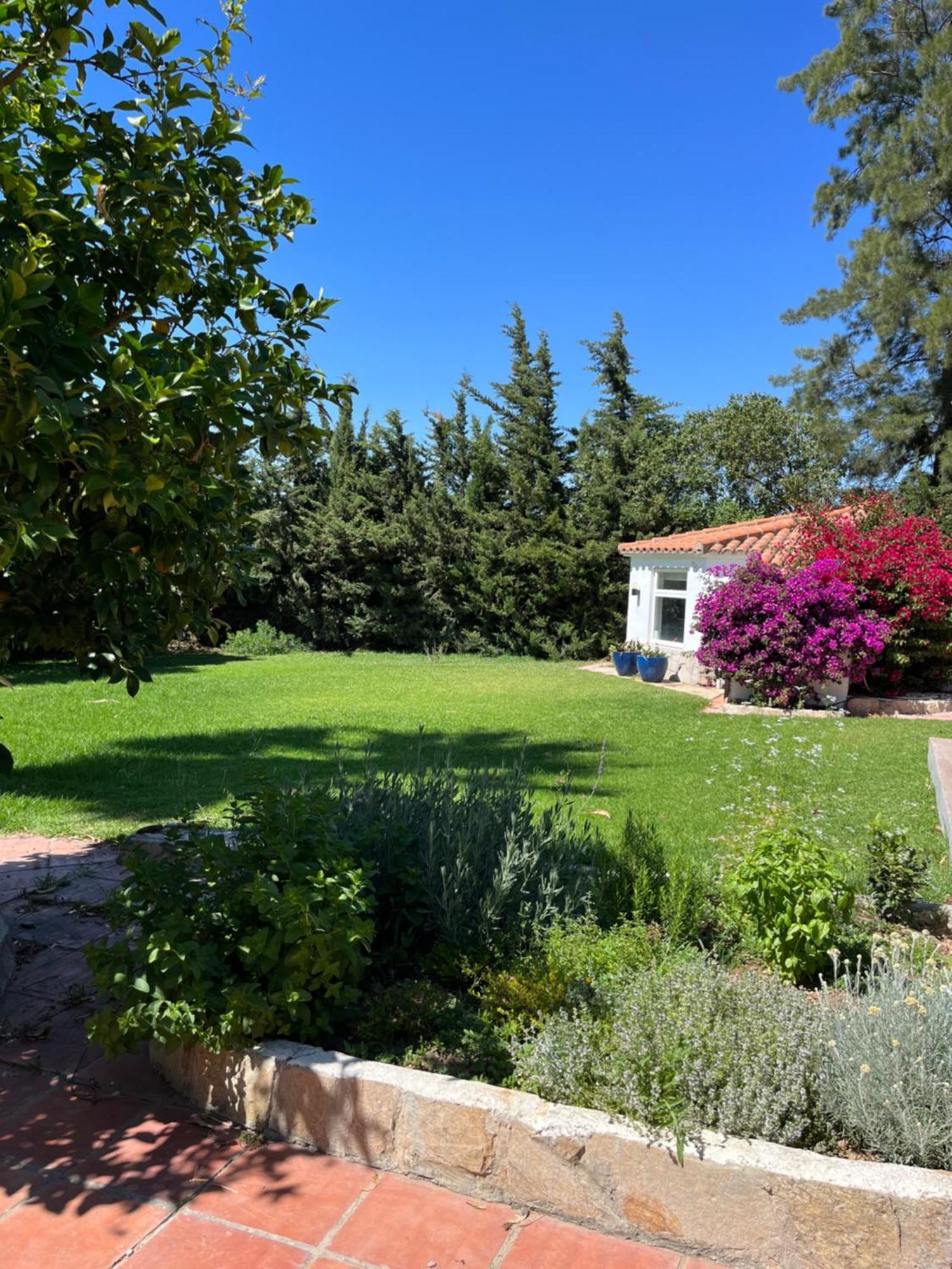 Arriba Stijlvol Appartement Met Zwembad En Tuin Conil De La Frontera Εξωτερικό φωτογραφία