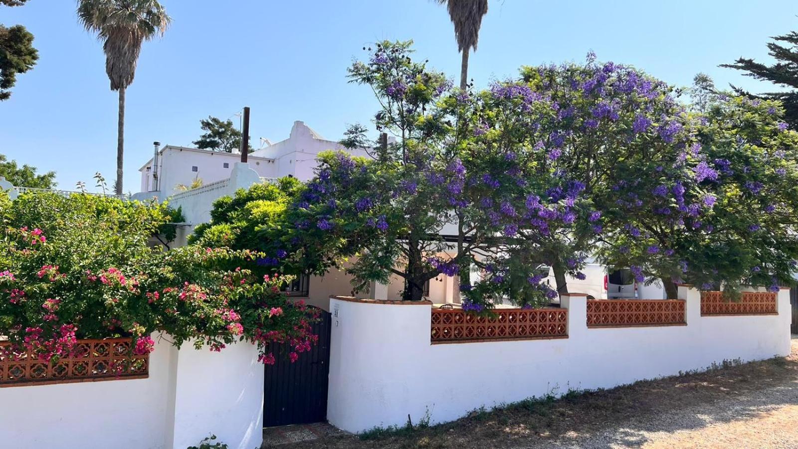 Arriba Stijlvol Appartement Met Zwembad En Tuin Conil De La Frontera Εξωτερικό φωτογραφία
