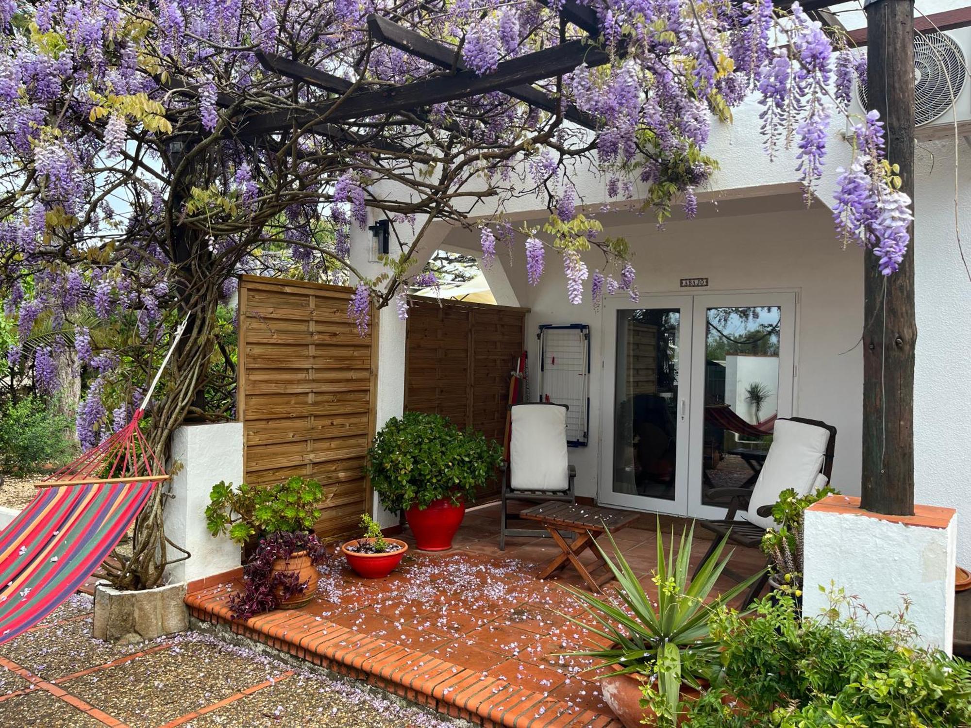 Arriba Stijlvol Appartement Met Zwembad En Tuin Conil De La Frontera Εξωτερικό φωτογραφία