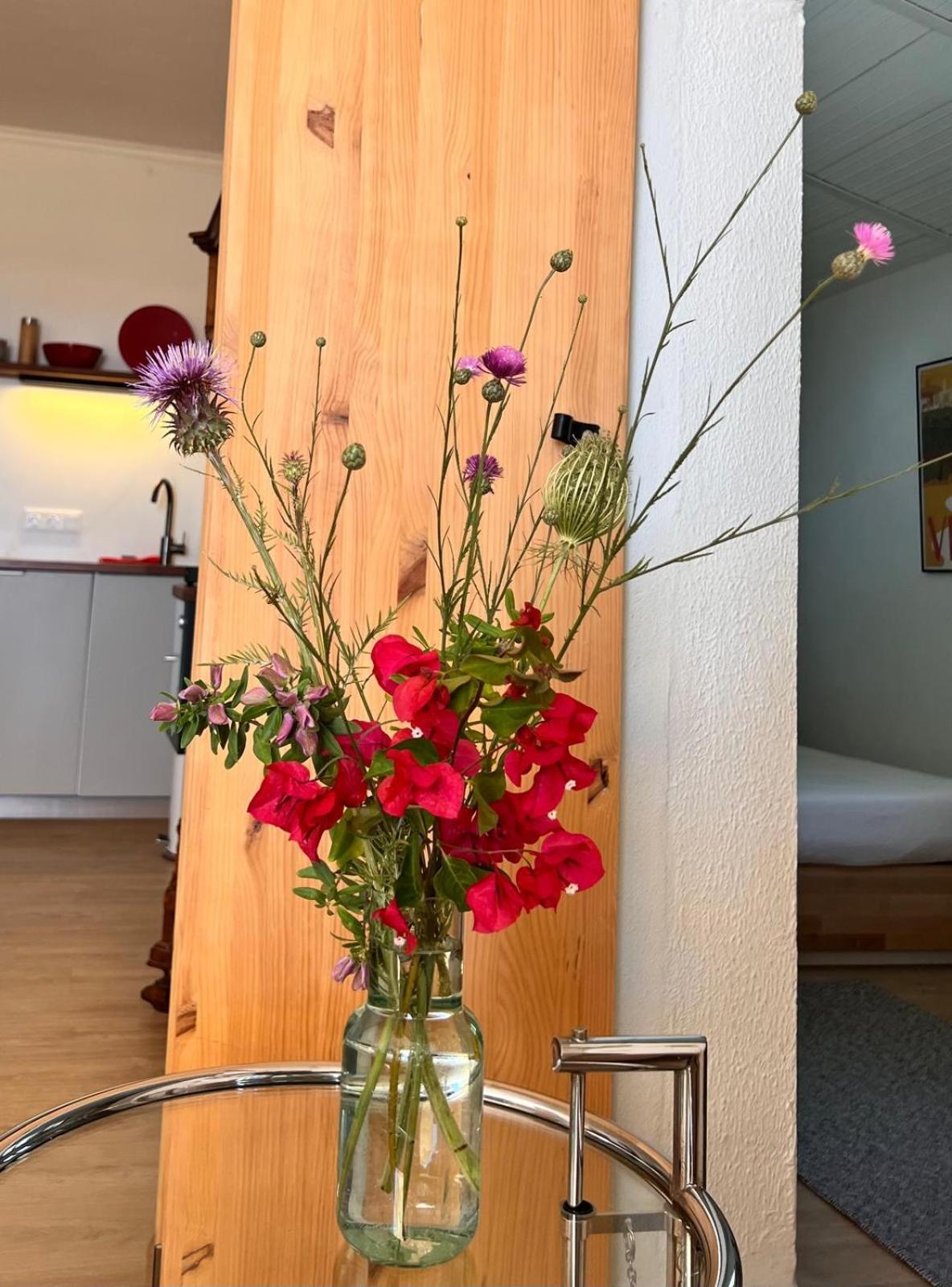 Arriba Stijlvol Appartement Met Zwembad En Tuin Conil De La Frontera Εξωτερικό φωτογραφία